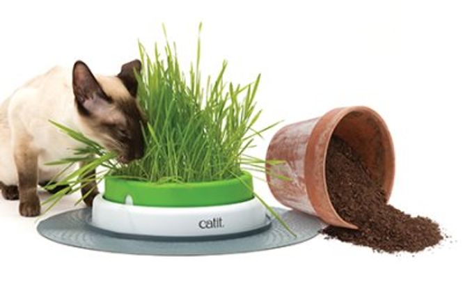 Hovedbilde CATIT Senses 2.0 Gress Planter