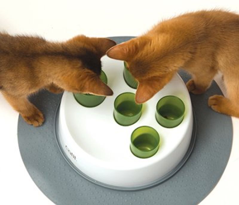 Catit Senses Aktivitetsleke