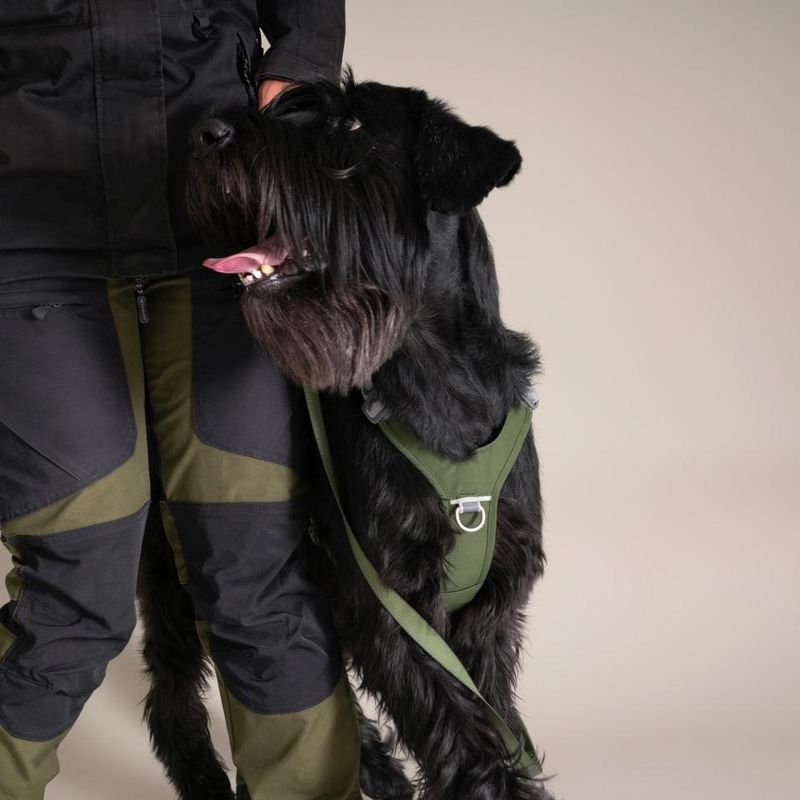 Hurtta Rover Sele Forest | Ergonomisk & Slitesterk