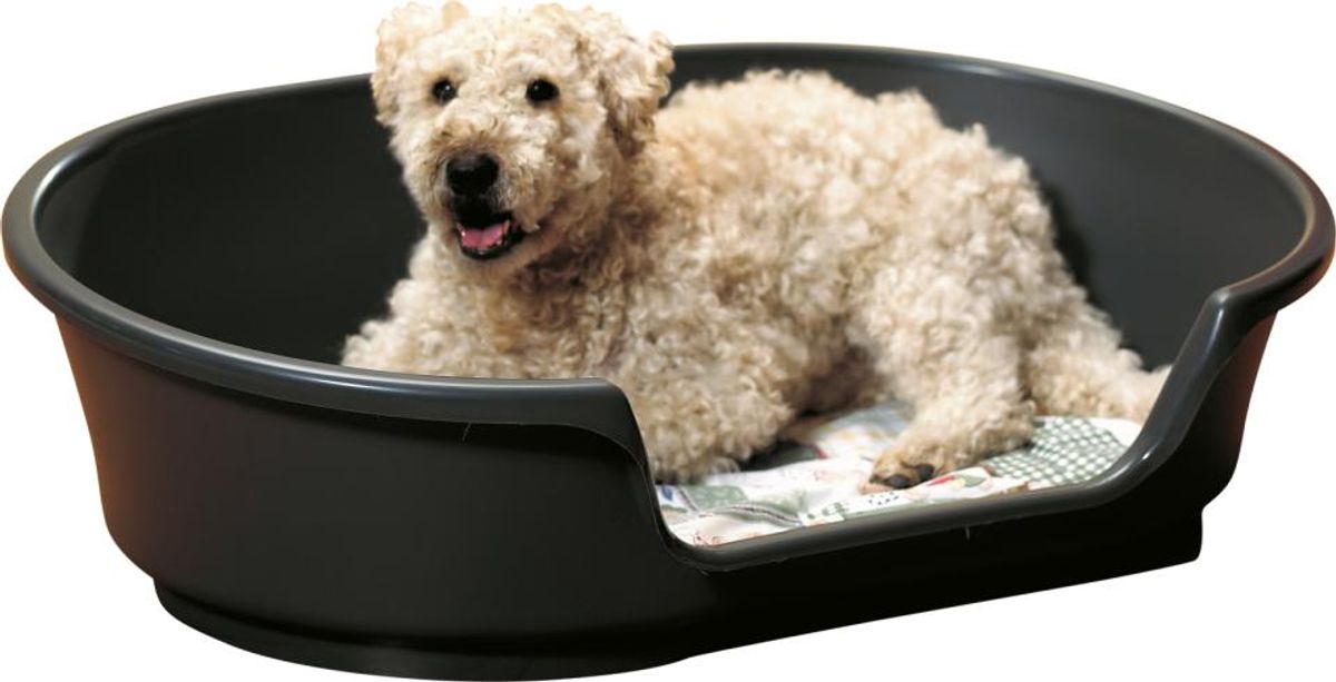 COSY-AIR 55 ANTRASITT 66X35X21