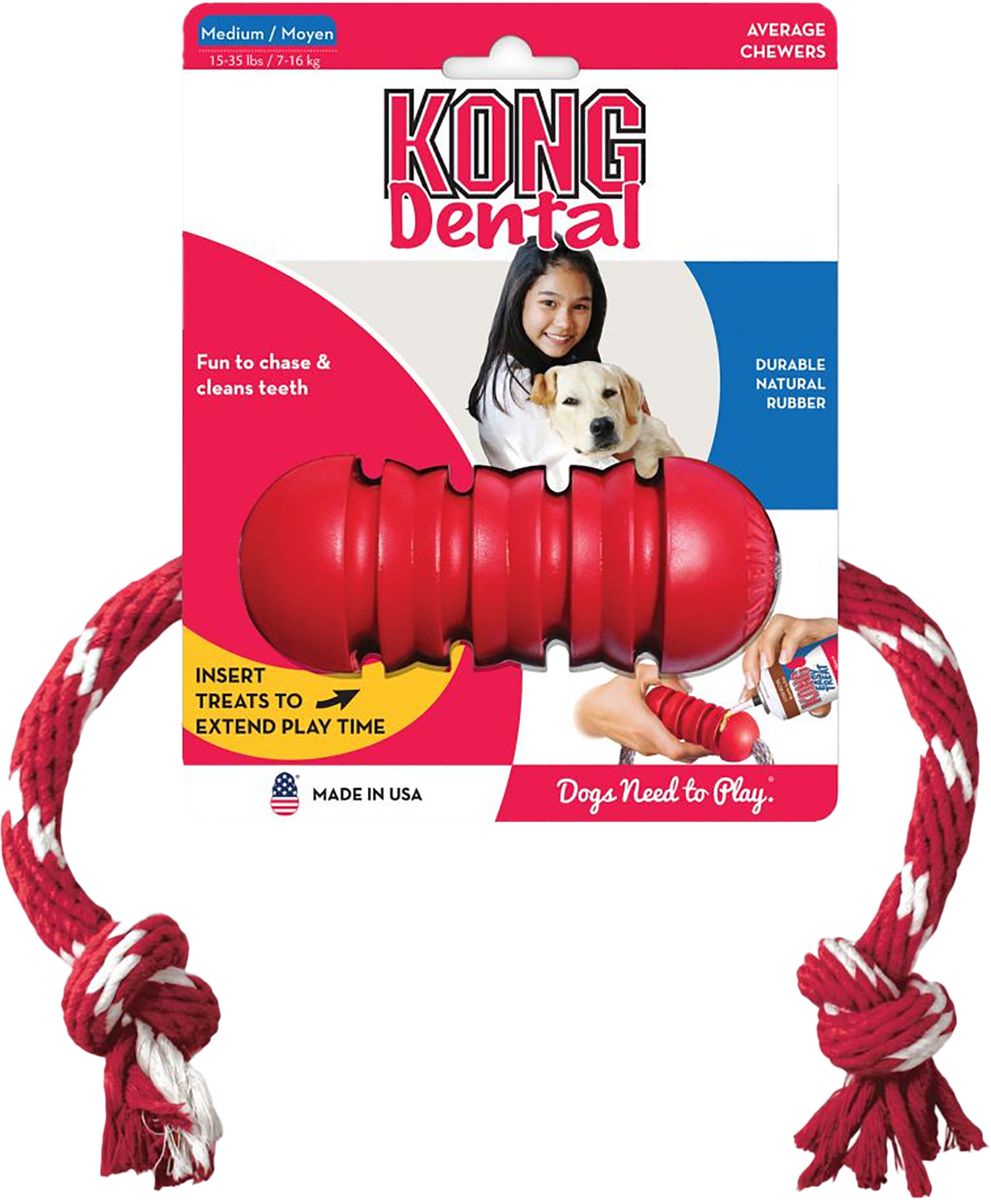 KONG Dental Medium