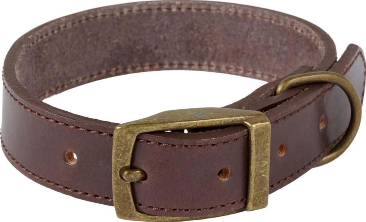 Companion Lærhalsbånd for hunder S