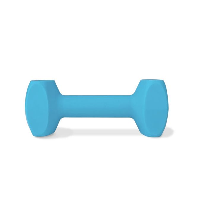 Hovedbilde Coachi Training Dumbbell Str L (386 g) | Flytende Apportbukk