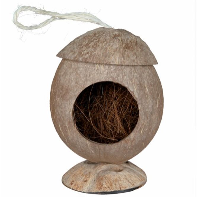 Hovedbilde Kokosnøtthus