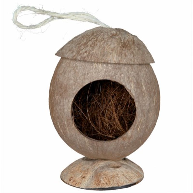 Kokosnøtthus