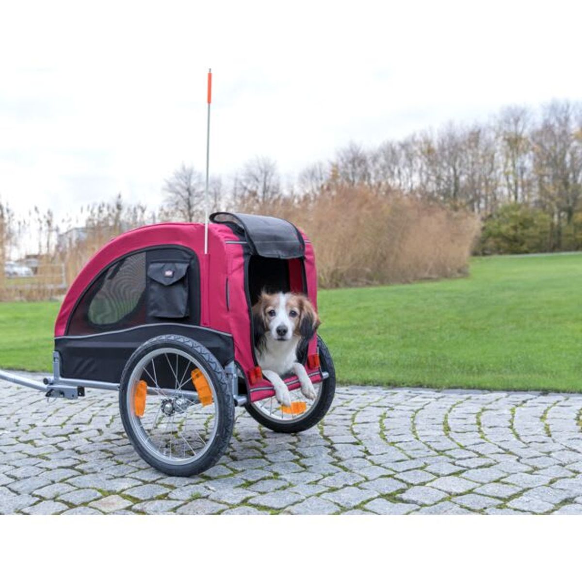 Trixie Sykkelvogn til Hund M | Rød/Sort (Opptil 22 kg)