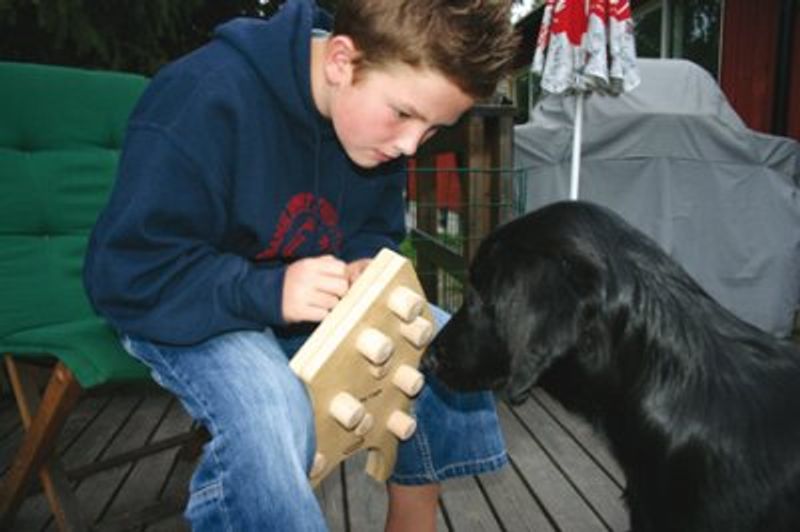 NINA OTTOSSON DOG TRIGGER TRE
