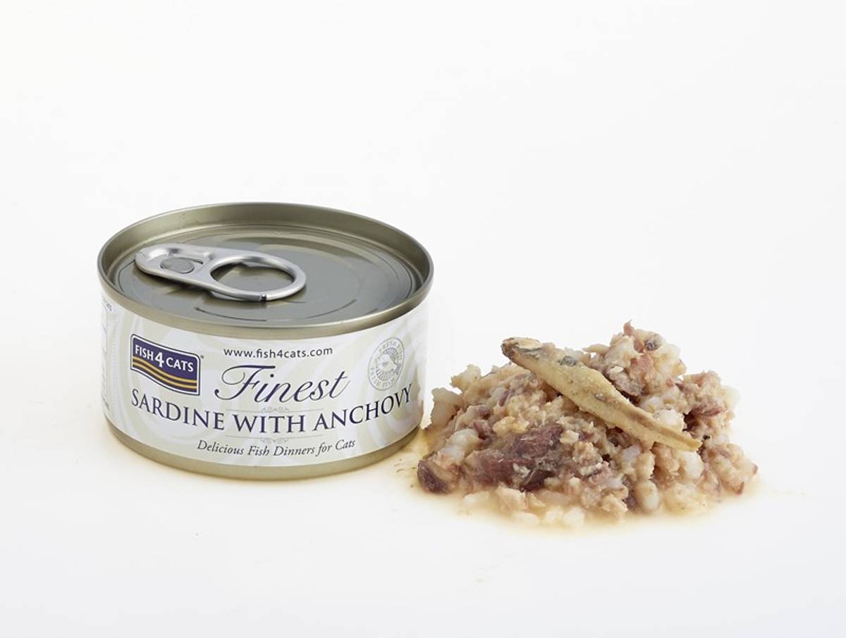 WET SARDINE ANCHOVY 70 G