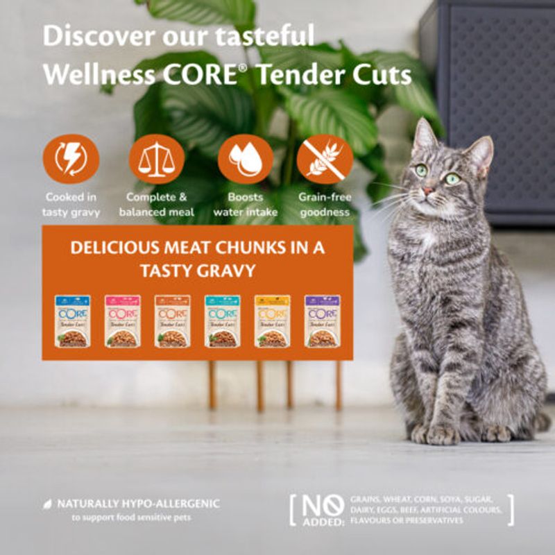 Wellness CORE Tender Cuts Kylling & Kalkun 85g | Kornfri