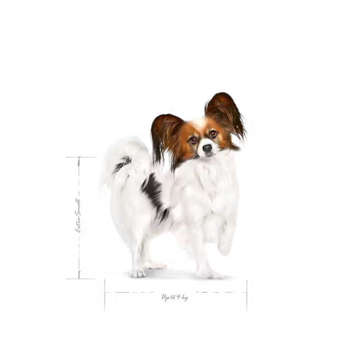 ROYAL CANIN XS Small Adult - 3kg