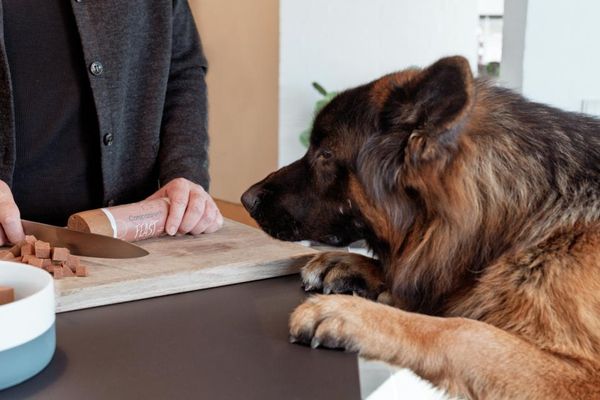 Hovedbilde Companion+ FEAST Lam 350g | Saftig Hundefôrpølse