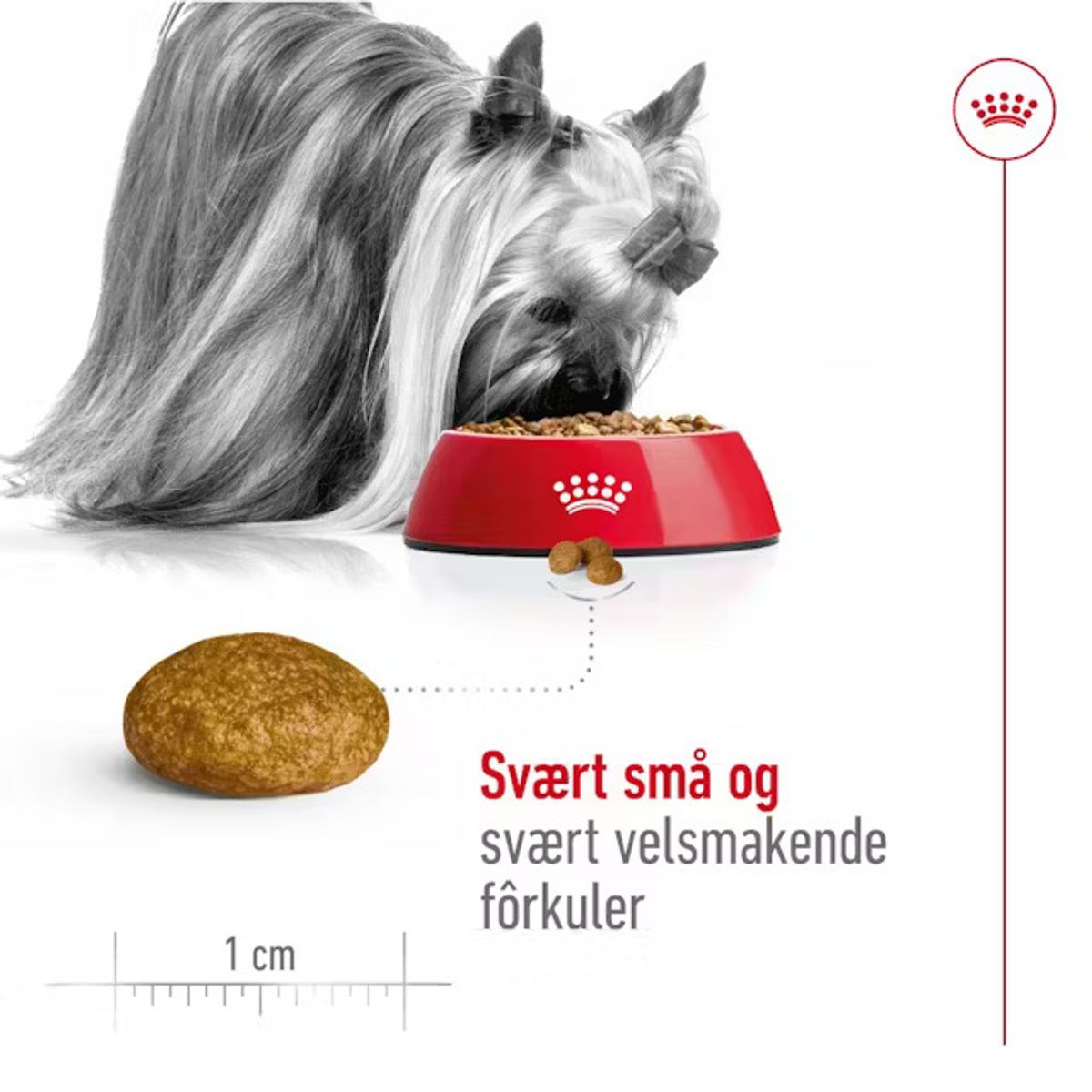 ROYAL CANIN XS Small Adult - 3kg