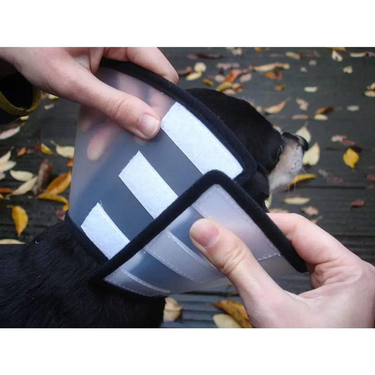 Beskyttelse Krage Med Plysjkant og Borrelås ( XS )