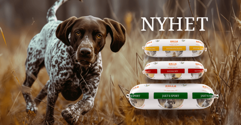 HALLA Svensk Hundepølse m.Storfe 650 gr