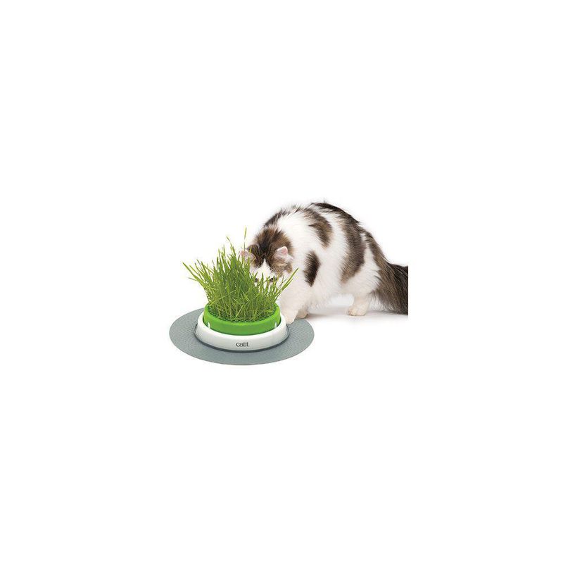 CATIT Senses 2.0 Gress Planter