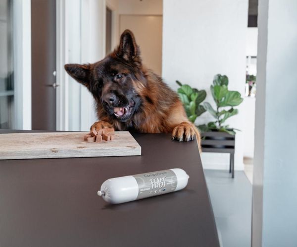 Hovedbilde Companion+ FEAST Biff 350g | Saftig Hundefôrpølse