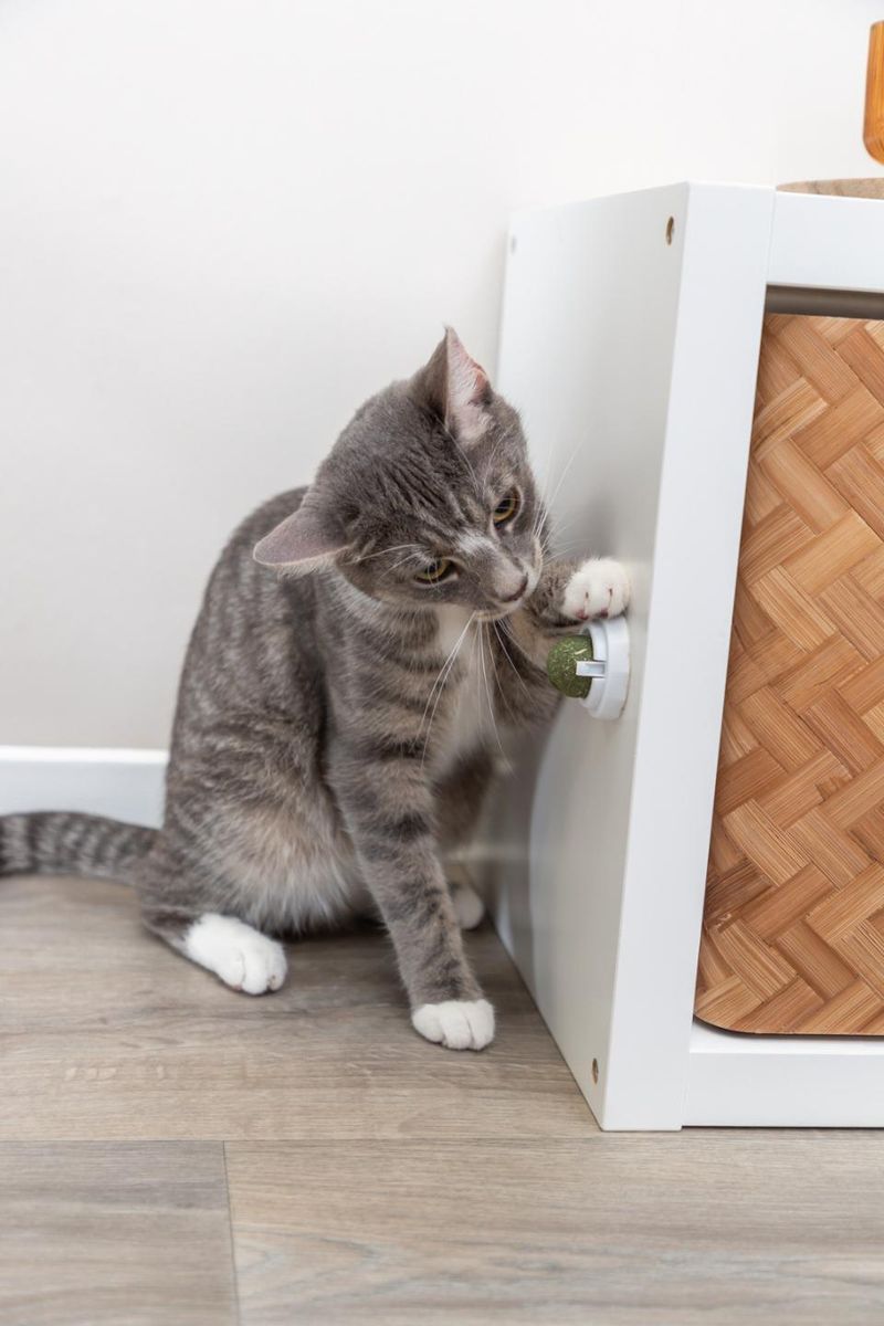 TRIXIE Kattenip-Ball med Feste