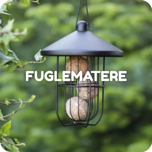 Fuglematere. Stort utvalg til hyggelige priser.