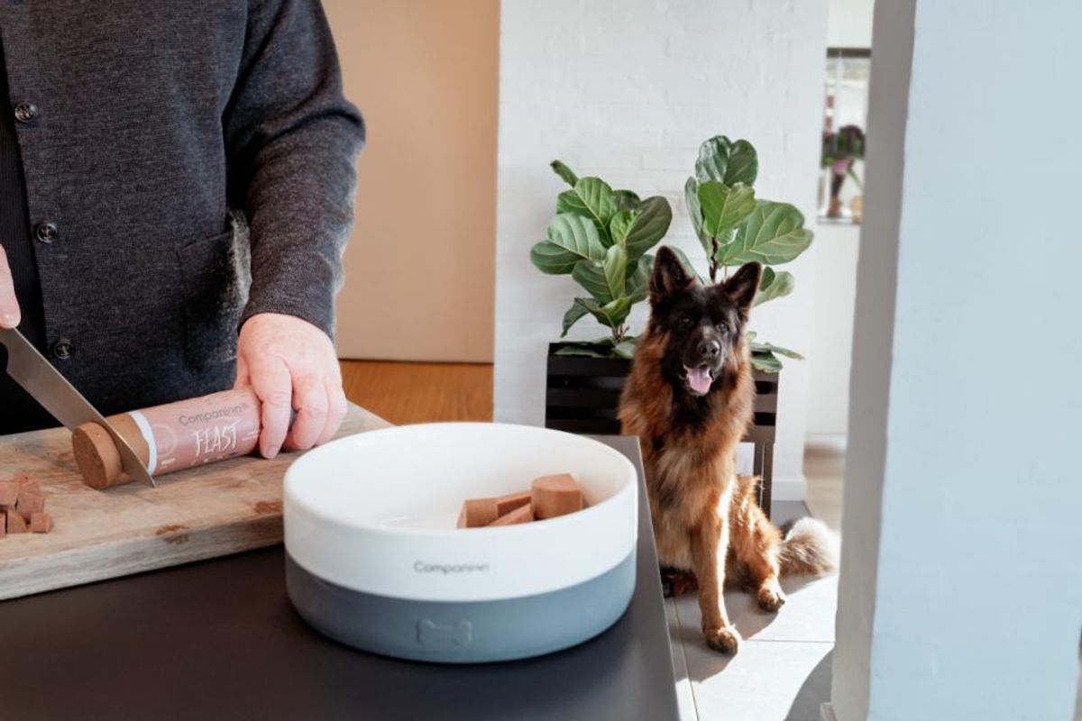 Companion+ FEAST Duck 350g | Saftig Hundefôrpølse