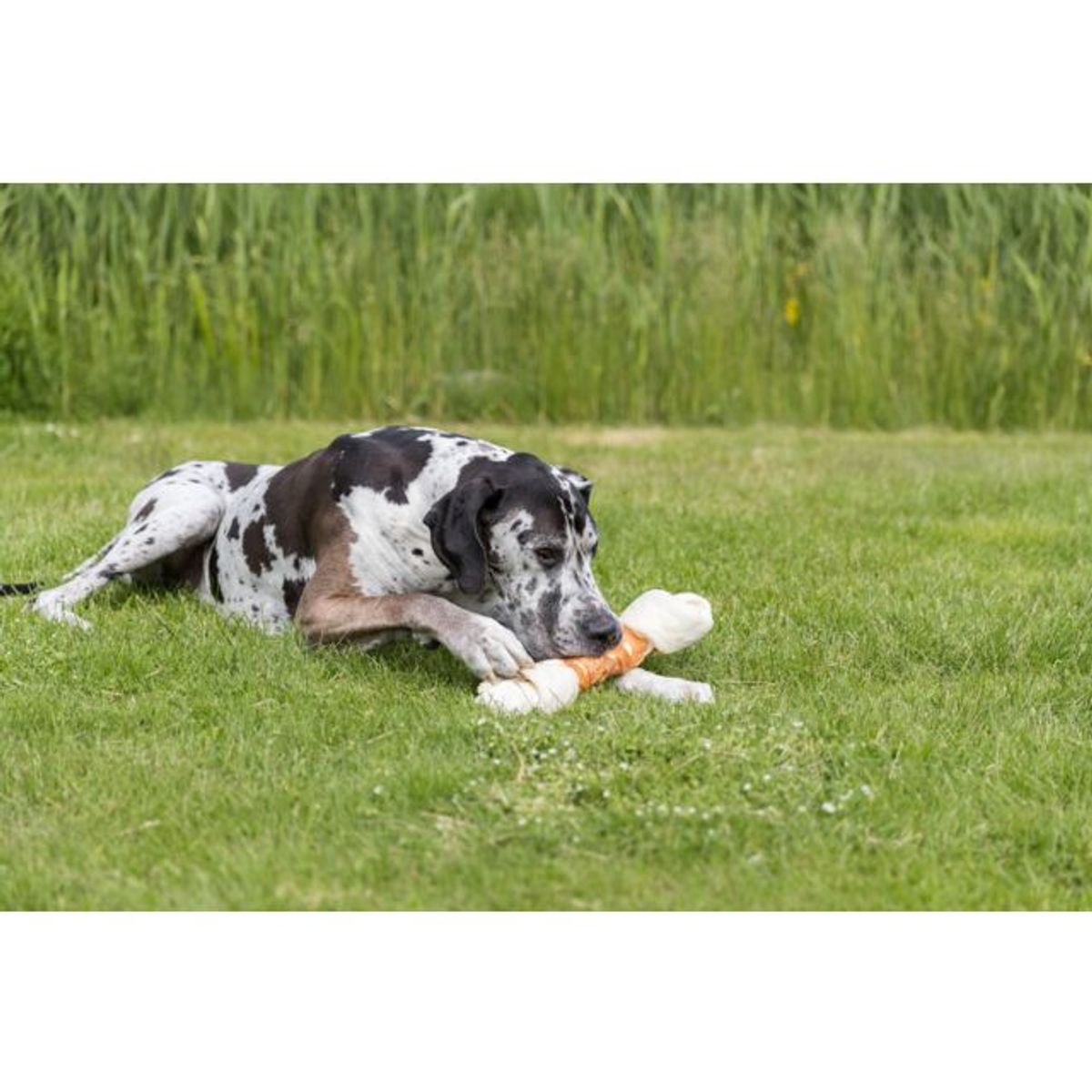 TRIXIE DENTAfun Mega Tyggebein m.Kylling ( 500 gr )