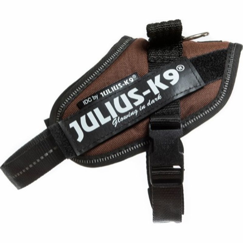 IDC Sele Brun