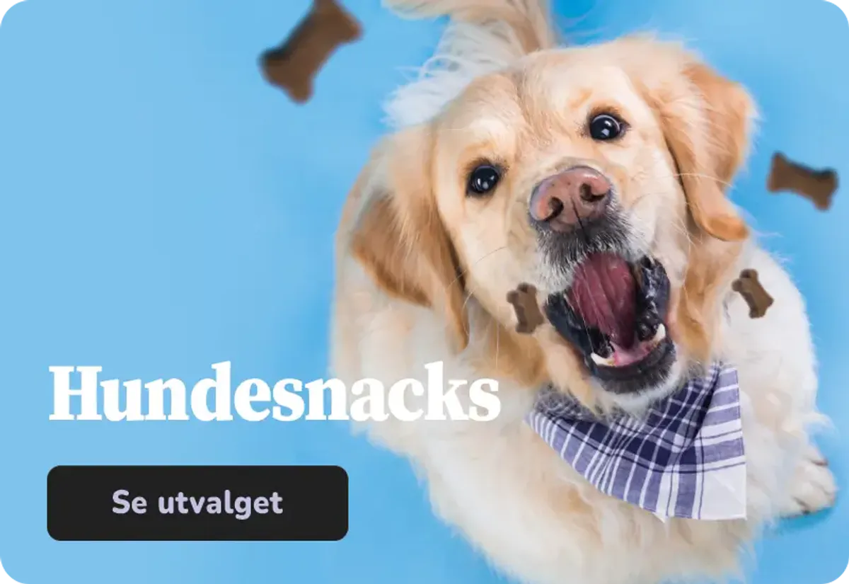Hundesnacks og hundegodteri. Stort utvalg godbiter til hunden