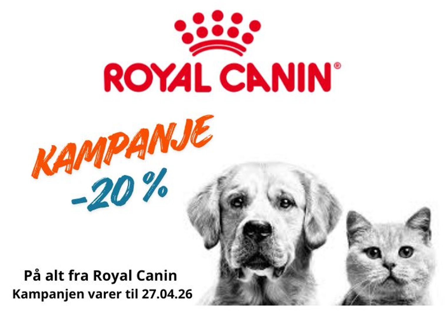 royal-canin-20%-rabatt